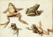 GHEYN, Jacob de II Four Studies of Frogs oil painting artist